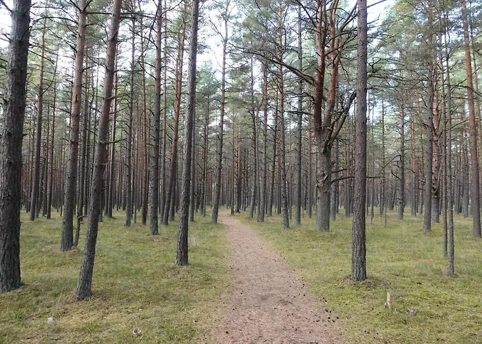 Apartment Diamond Palanga