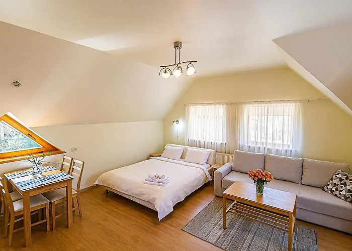 Apartment Diamond Palanga